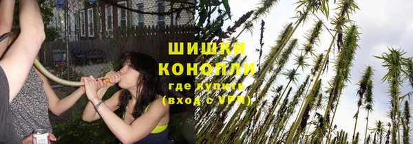 стаф Липки